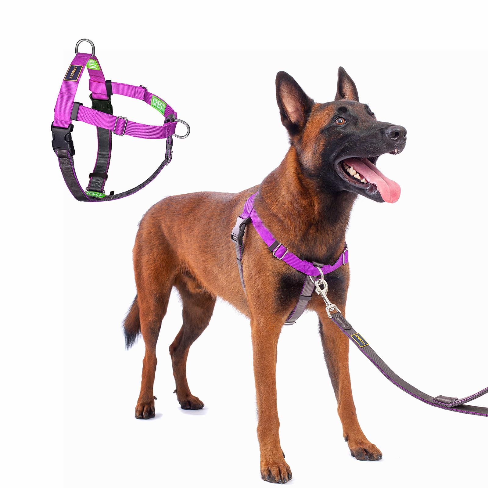 APDEXY Freedom No Pull Dog Harness, Easy Walk with Front Clip, Two Stainless D-Rings, Sewn-in Instructions Tags for Easy Use, for Medium/Large Dogs Weight 40-60 lbs (Purple, Med/Large) — image 1