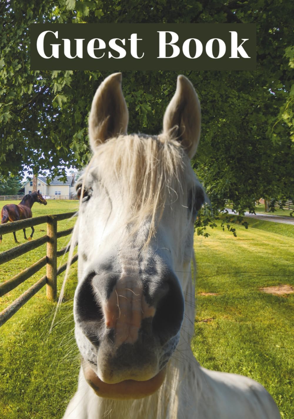 Guest Book: Fun Nice Horses Every Page (Color Edition)      Hardcover – January 30, 2026