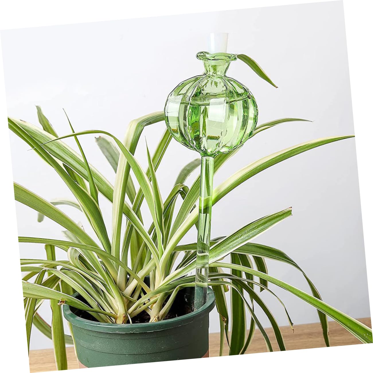 IMIKEYA Globes D’arrosage Automatique Cactus 4 Pièces en Verre Borosilicate