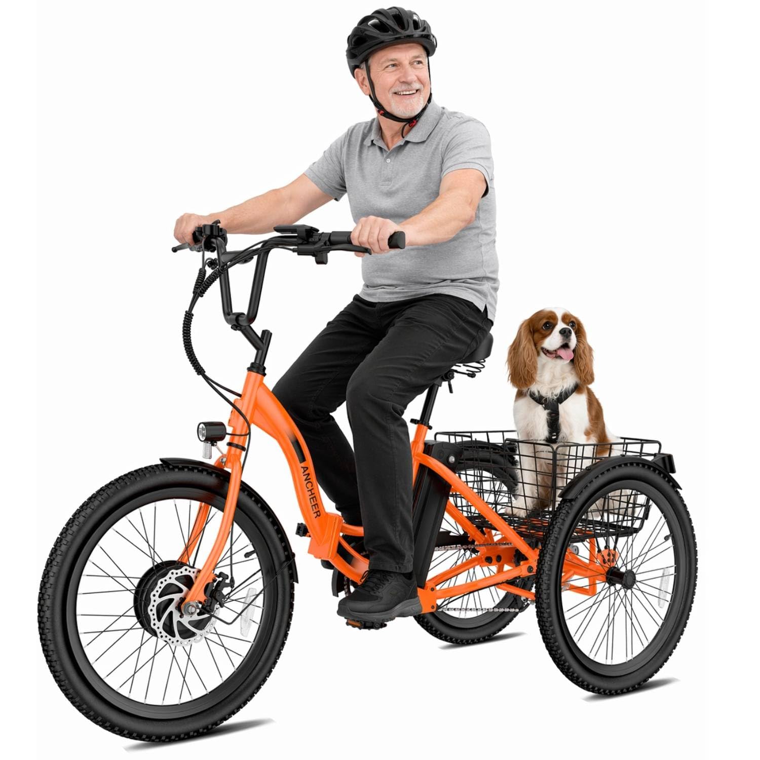 ANCHEER 24 inch Electric Tricycle for Adults