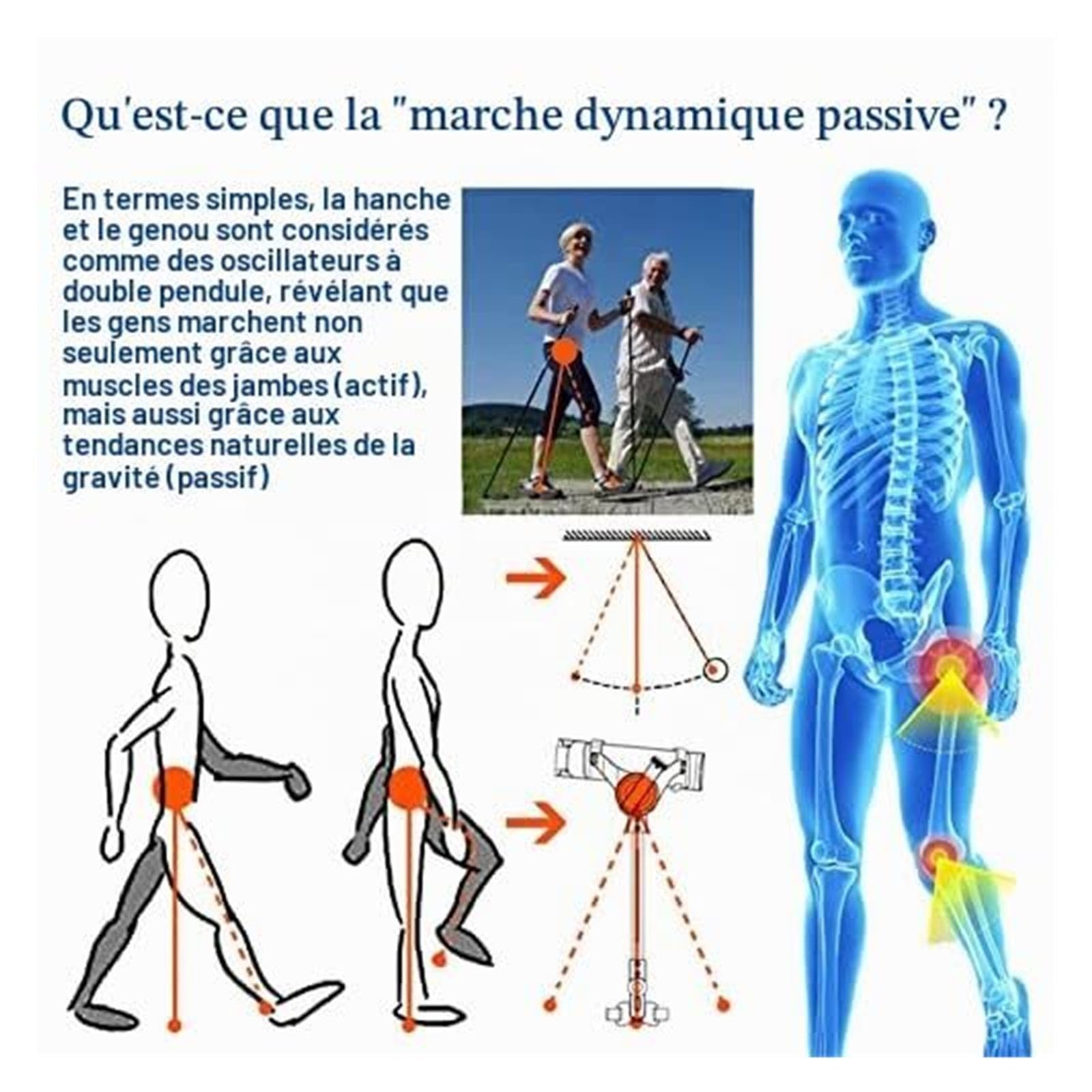 Equipo De Ejercicio para Piernas, Sistema De Marcha Ajustable Adulto
