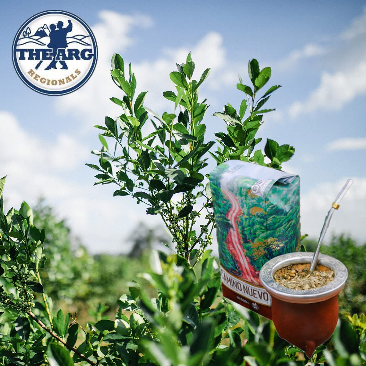 THEARG Organic Yerba Mate Loose Leaf Tea, 500g