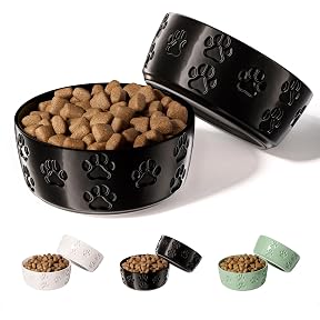 Ceramic Dog Bowl Set of 2 Sage Green