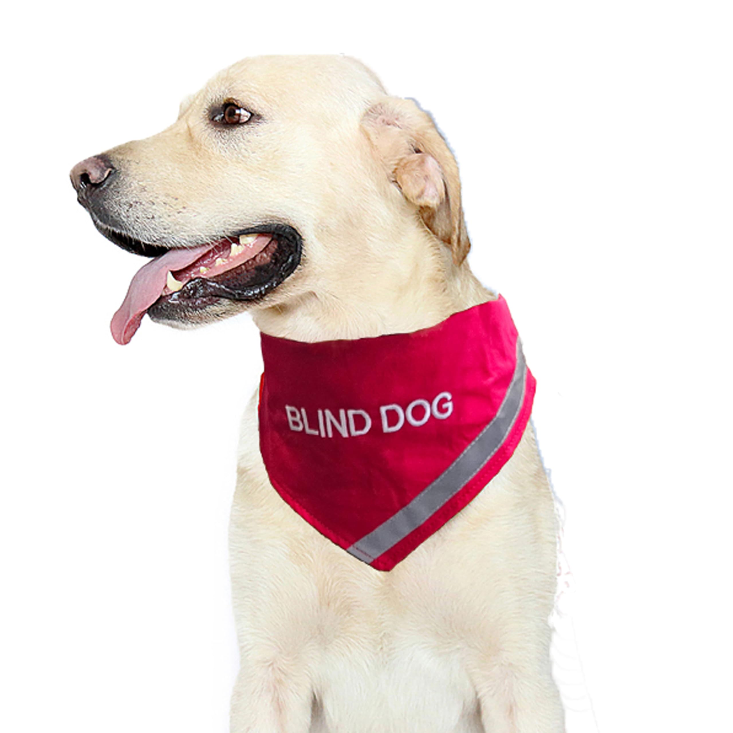 Doggie StylzBlind Dog Reflective Dog Bandana – High-Visibility Safety Gear, Perfect for Blind Dog Halo or Service Dog Collar, Lightweight Devices for Blind Dogs, Essential Help for Blind Dogs