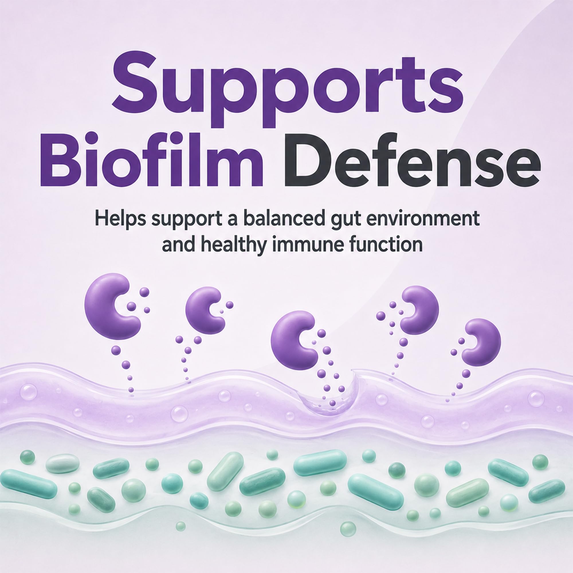 Balance ONE Biofilm Disruptor, Serrapeptase and Nattokinase, 60 Capsules — Amazon image 7