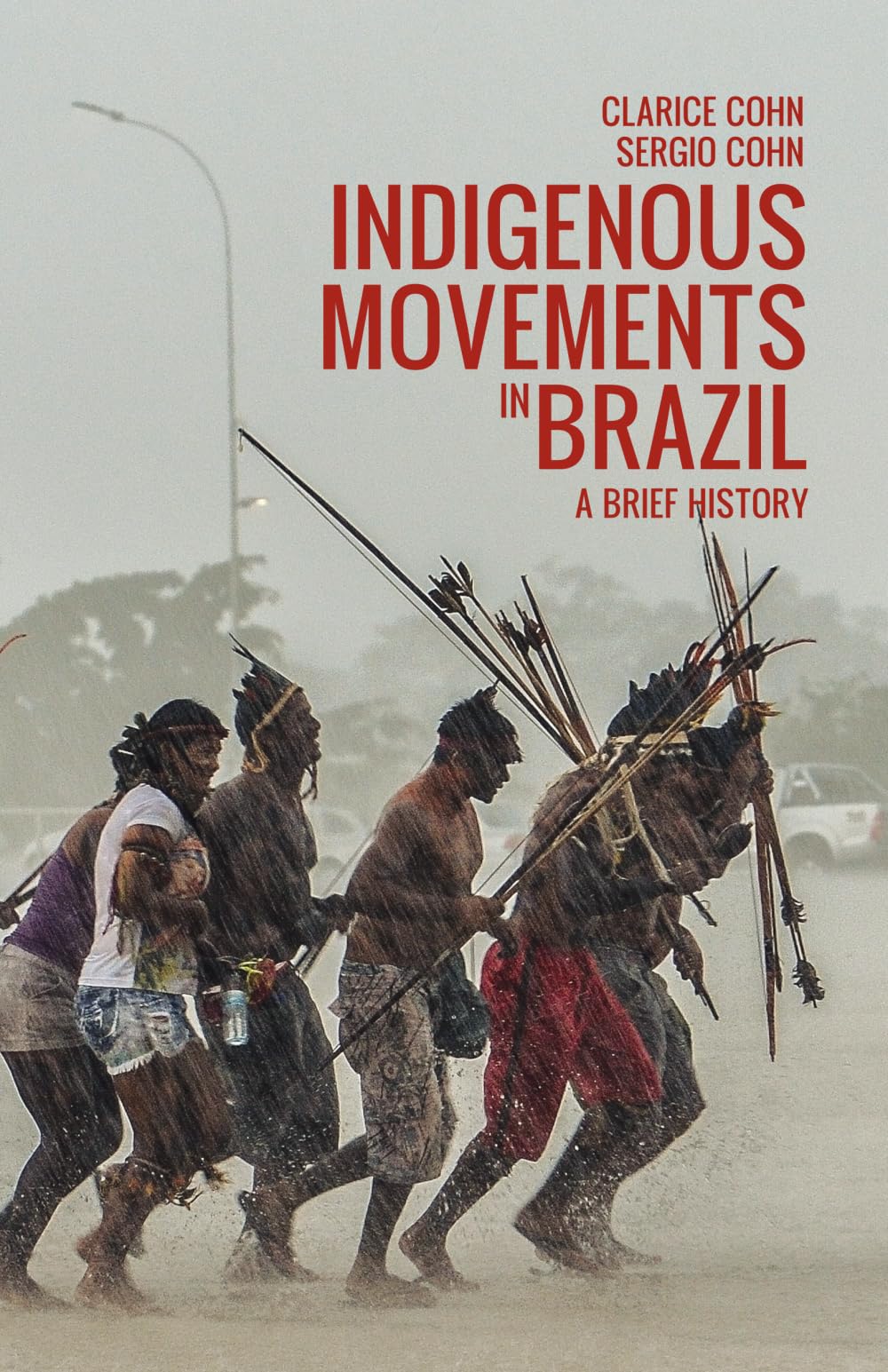 Indigenous Movements in Brazil: A brief history
