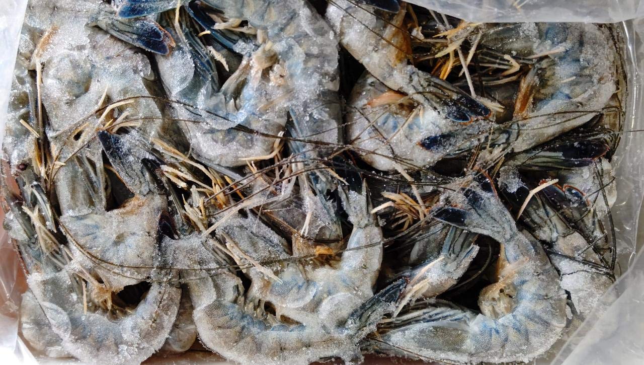 Amazon.co.jp: 生食用 天使の海老 1kg 40-50匹 ブラックタイガー 天使 