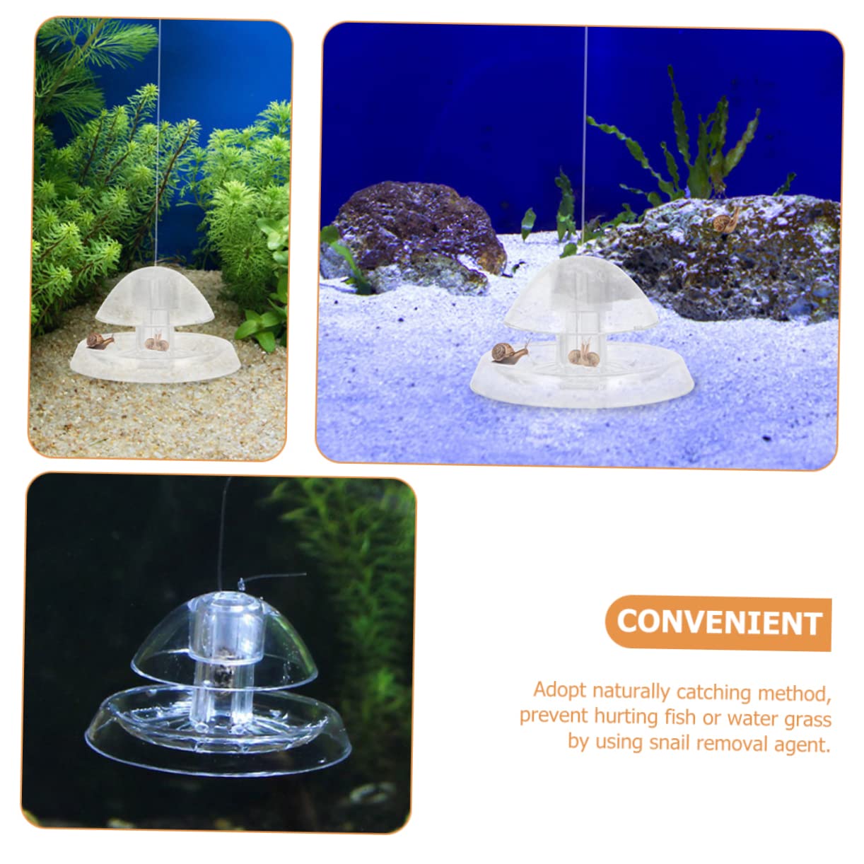Happyyami 8piezas Catcher De Caracoles para Acuario De Plástico Transparente Atrapa Caracoles Sin Dañar Peces y Plantas para Mantener El del Acuario