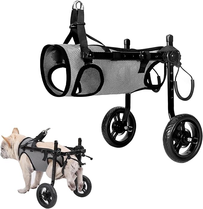 Sedia a rotelle per cani di piccola taglia per zampe posteriori, sedia a rotelle leggera per cani/gatti/animali domestici, carrello con zampe posteriori disabili, sedia a rotelle regolabile