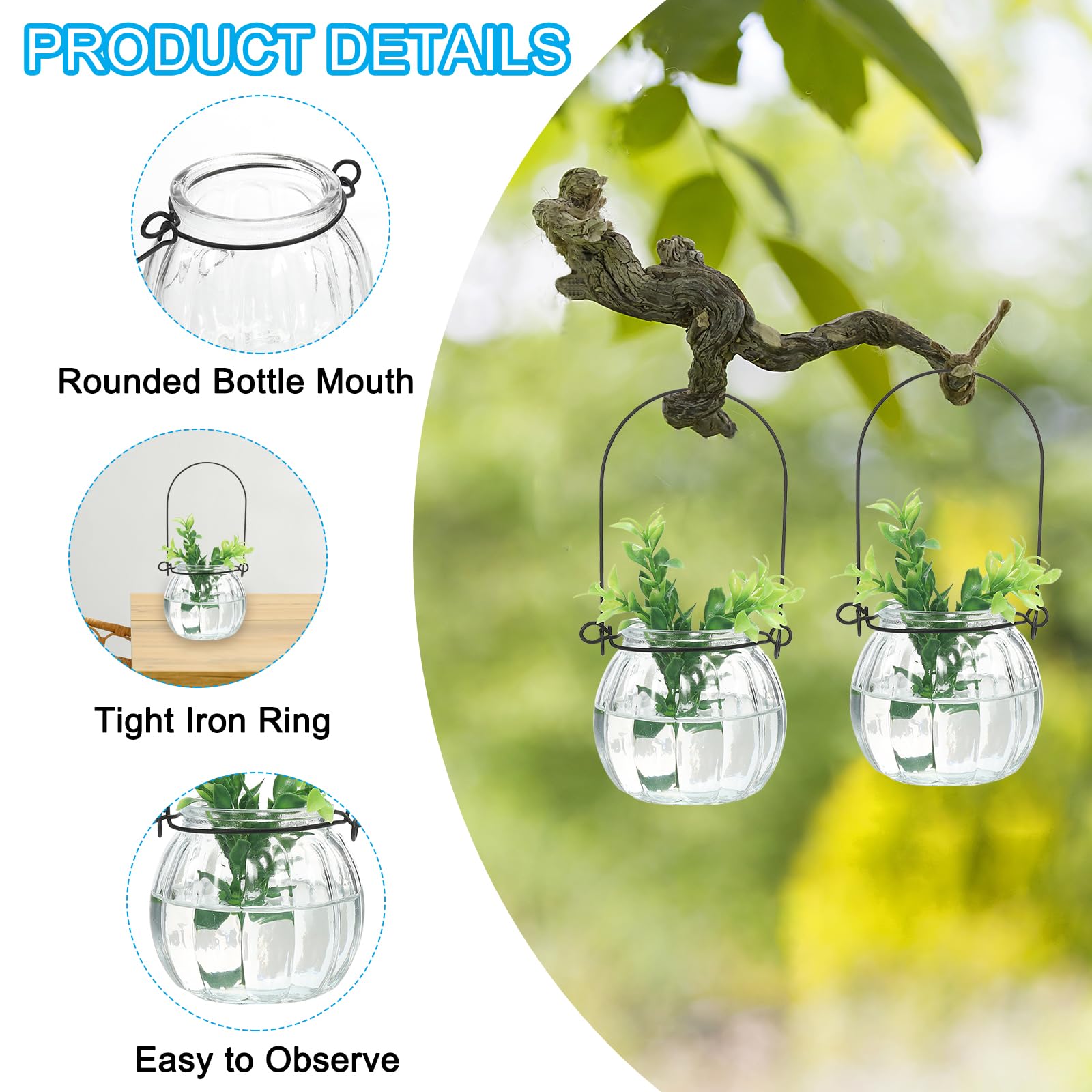 PATIKIL Pumpkin Glass Terrarium Planter 2.4 Inch - Image 3