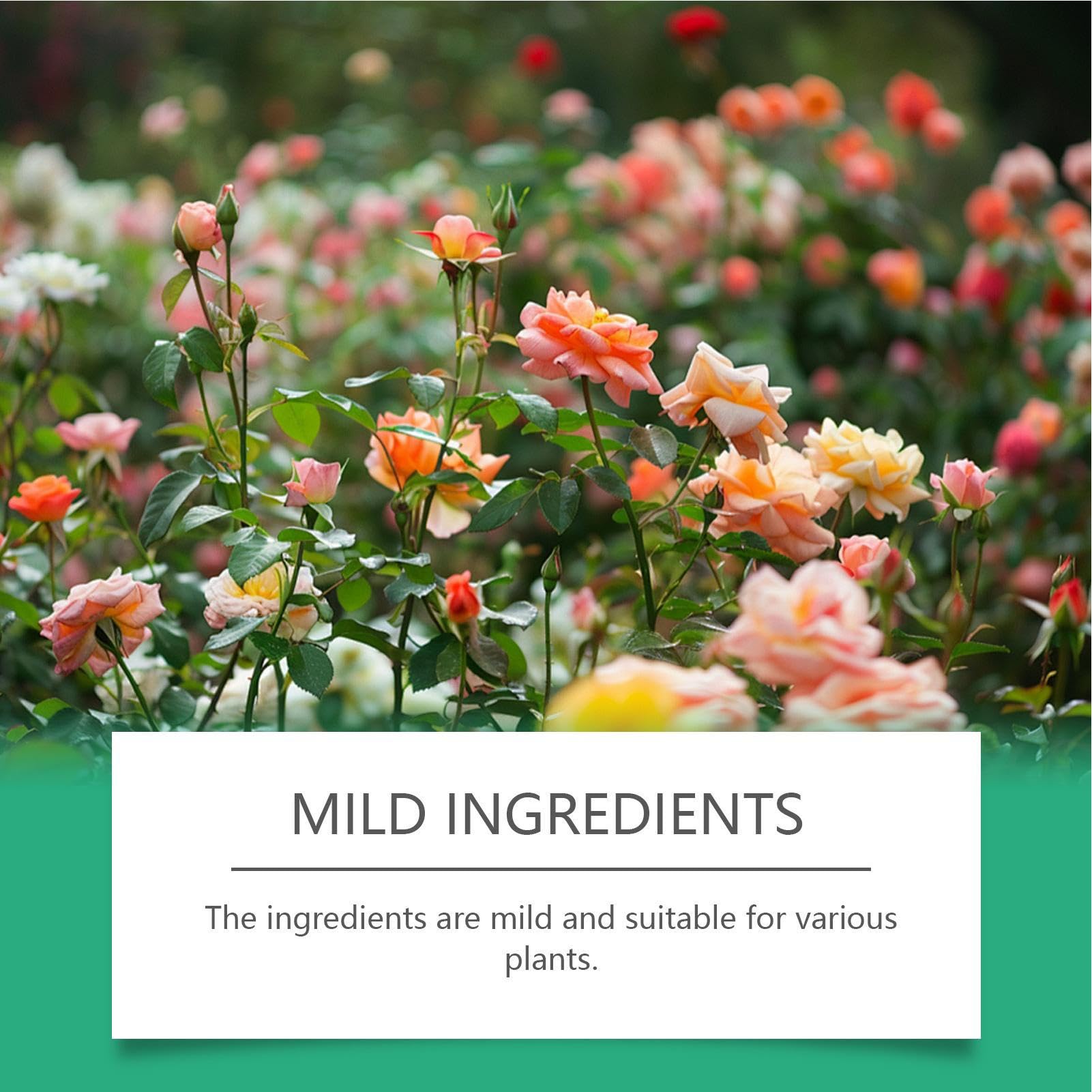 Alimento Para Flores Cortadas | Líquido 100 ml Nutrientes Hidropónicos | Suministros De Jardinería Para Césped Hidroponía Y Vitalidad De Macetas Interior Exterior