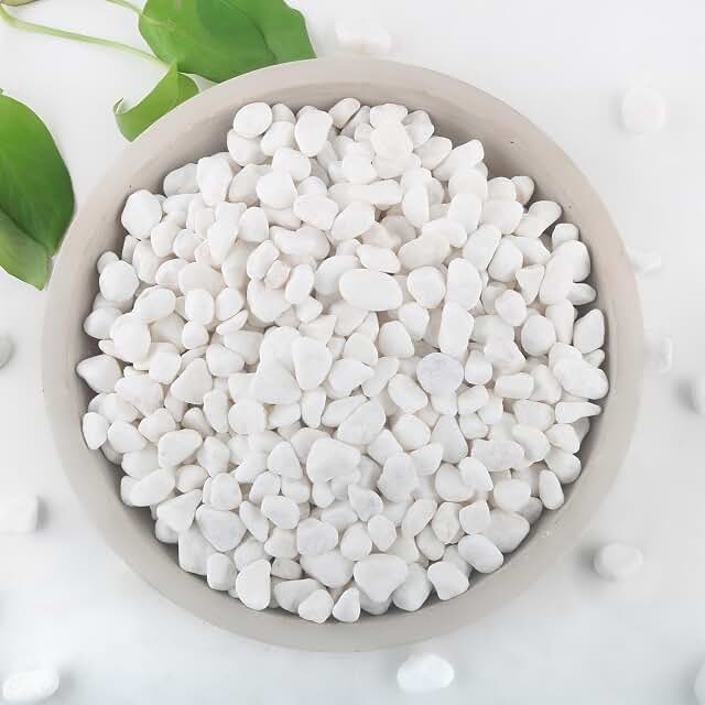 2Lb White Rocks For Plants image