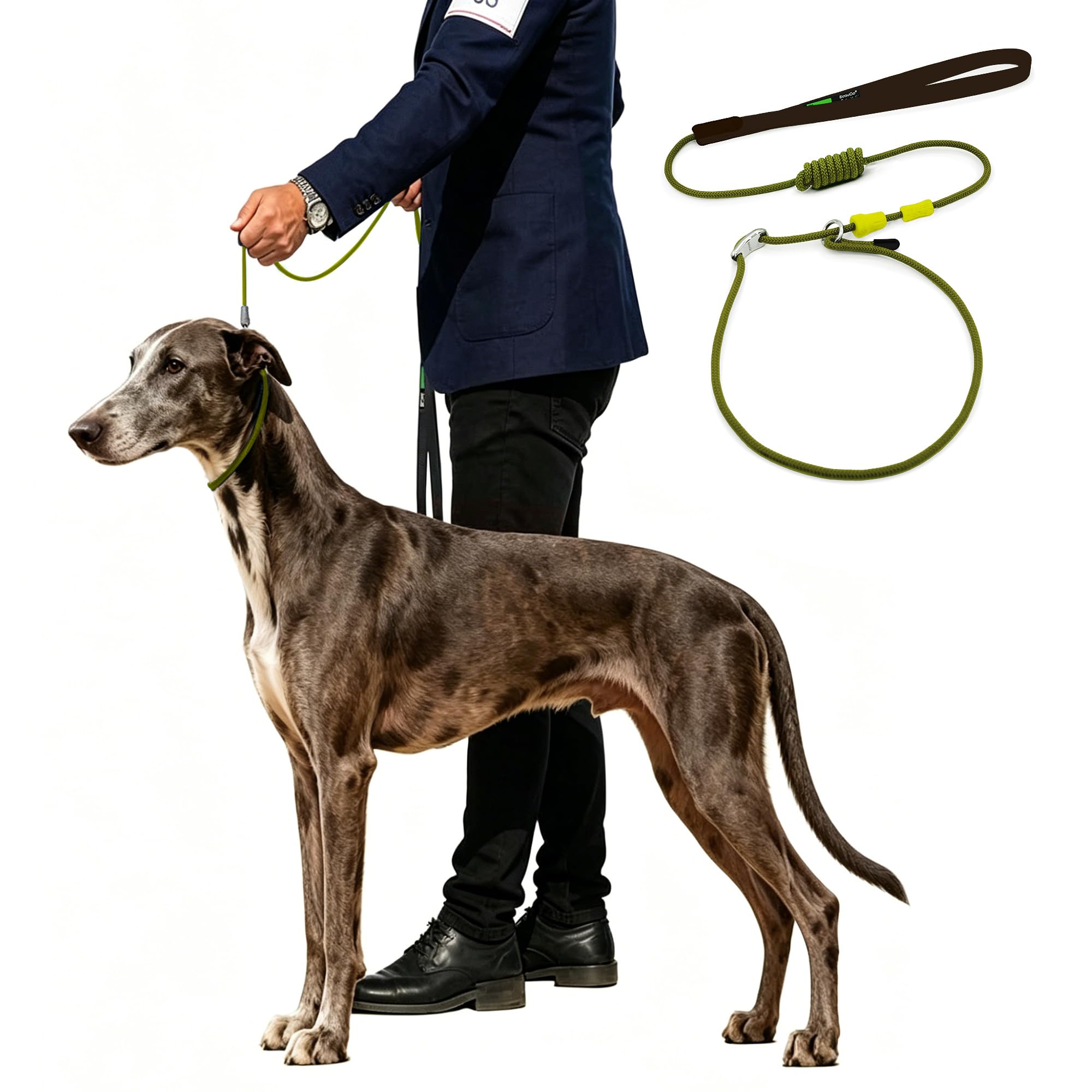 Laisse de dressage chien antidérapante 2 en 1 robuste pour l'éducation