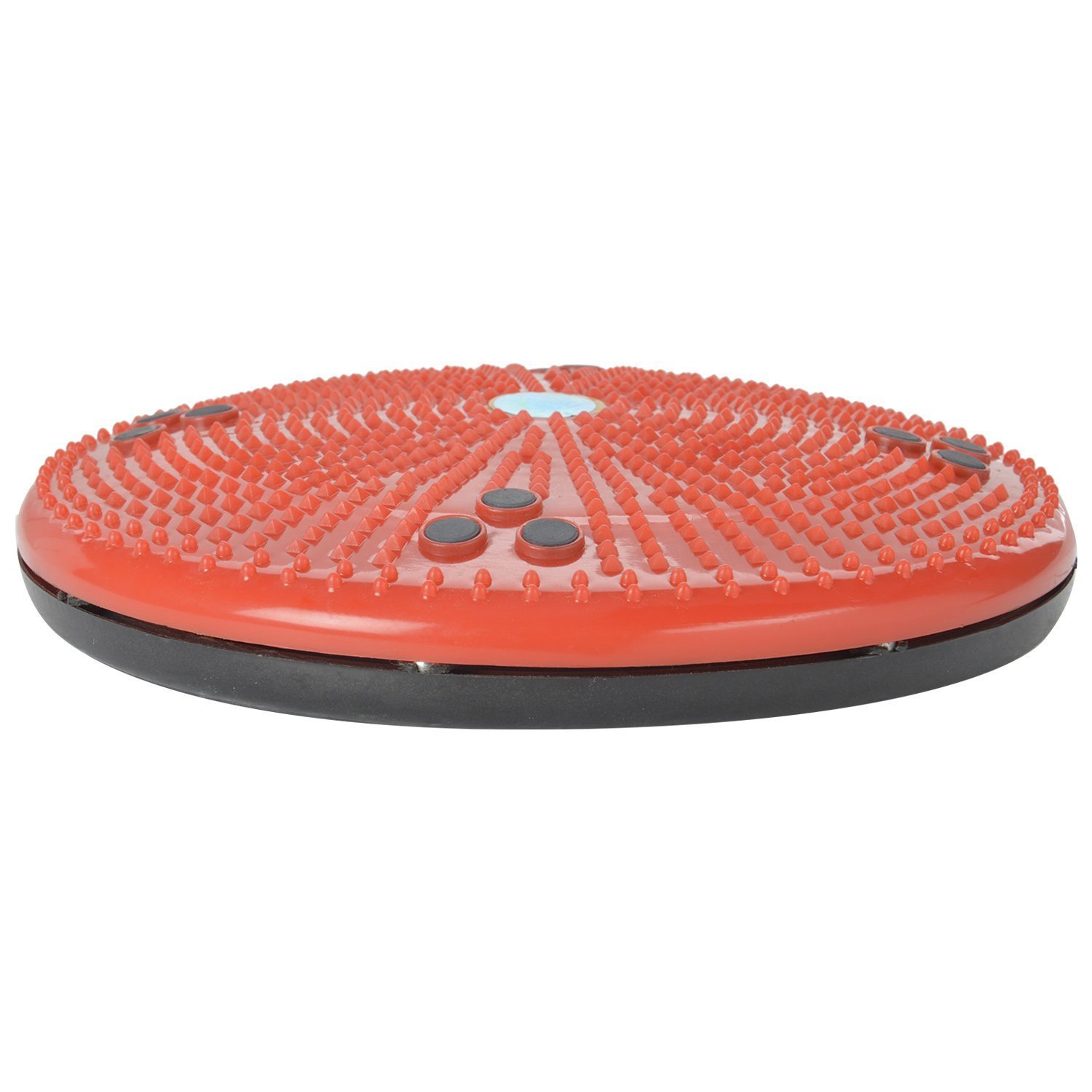 Acupressure Health Care System Twister Body Weight Reduicer Acupressure Health Care System Twister Body Weight Reduicer