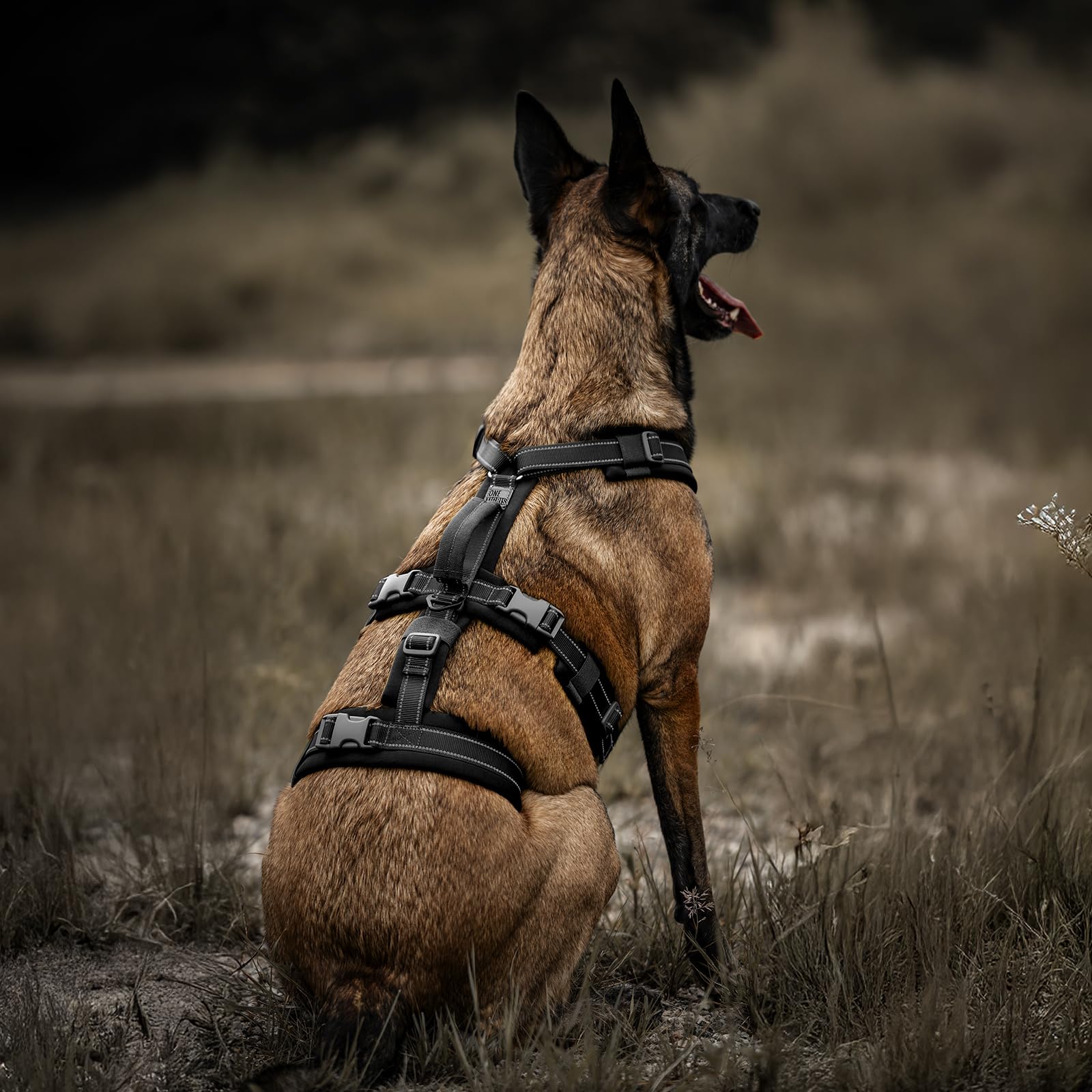 OneTigris Pettorina per cani, HOUNDLOCK Pettorina tattica anti-scoppio regolabile morbida imbottita con 1 maniglia, 2 anelli a D e riflettente (Nero, M)
