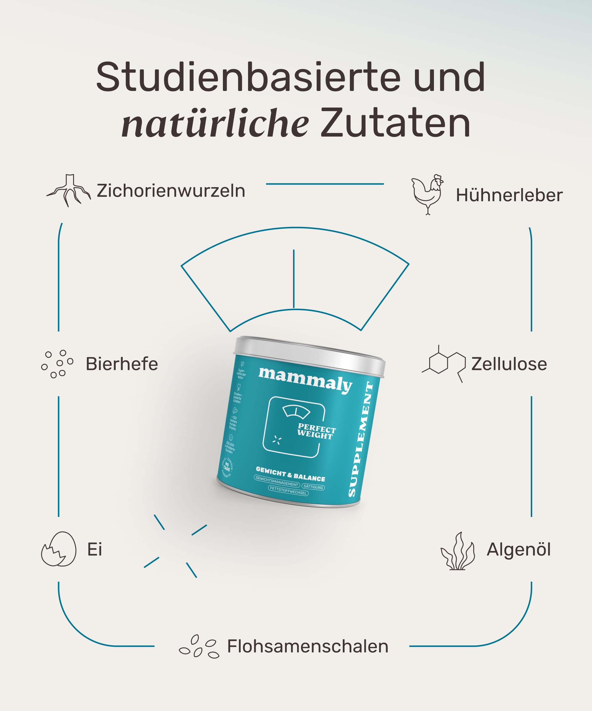 11-in-1 L-Carnitin & Cellulose Snack - Gewichtsmanagement für Hunde - Perfect Weight 120 Snacks (350g) von mammaly - Diätfutter kann beim Abnehmen Hund helfen - Futterzellulose zur Gewichtskontrolle