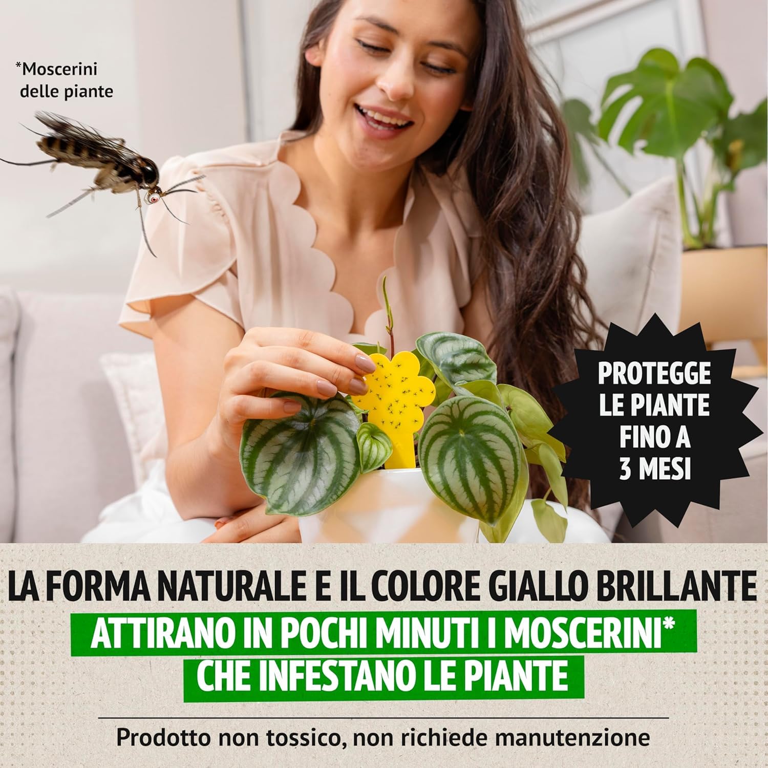 Super Ninja Plant Fly Traps – 30 Pieces, Eco Adhesive Baits, Catch Soil Fly in the Home, Insecticide Free, Safe for Indoor/Outdoor Use, Duration 3 Months - 4