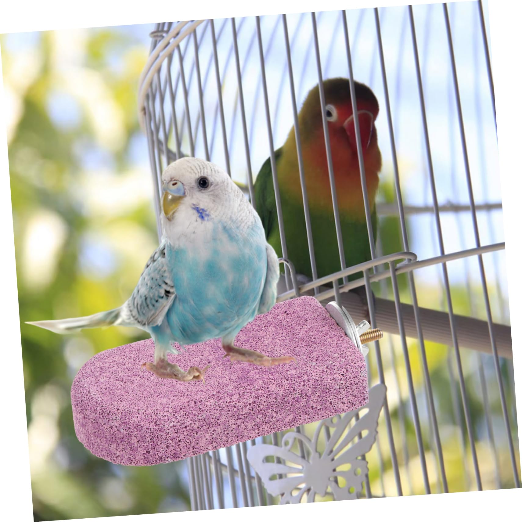 VANZACK 5piezas Percha para Aves De Molar para Masticar Estación para Periquitos y Pájaros para Aliviar El Aburrimiento y Ejercicio
