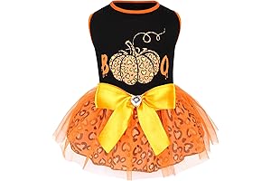 Adorable Pet Halloween Costume: A Spooky Night for Your Furry Friend