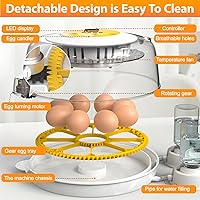 Vista 5 de Incubadoras de huevos para incubar huevos con girador automático de huevos, 8 incubadoras para huevos de gallina con vela de huevos para pollo