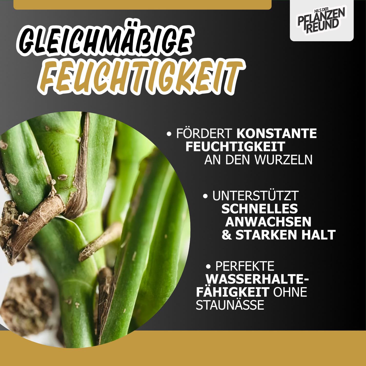 Moosstab 40 cm (L) 10 Stück, Klar – Moss Pole, erweiterbare Rankhilfe für Monstera & Kletterpflanzen, Pflanzenstab für Indoor Pflanzen