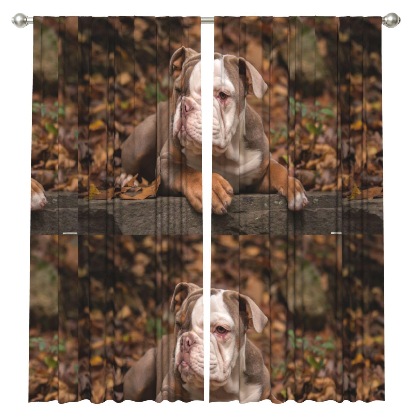 InOmak American Bulldog Puppy, 2 Panels Window Curtains 52 x 84 Inch Blackout Curtains for Living Room Bedroom