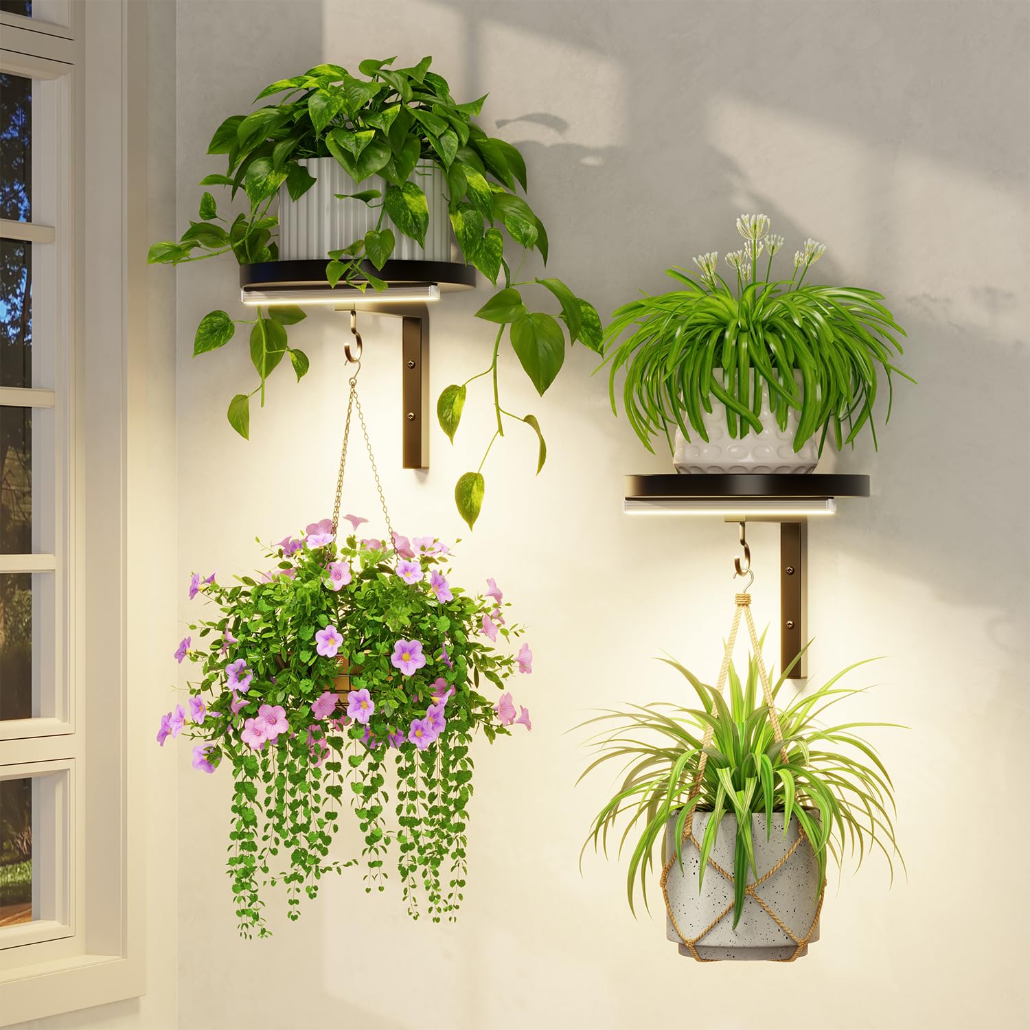 LASZOLA Lot de 2 supports muraux pour plantes d'intérieur avec lampes de croissance, supports de fenêtre en métal, présentoir à fleurs flottant moderne avec 2 crochets pour décoration extérieure