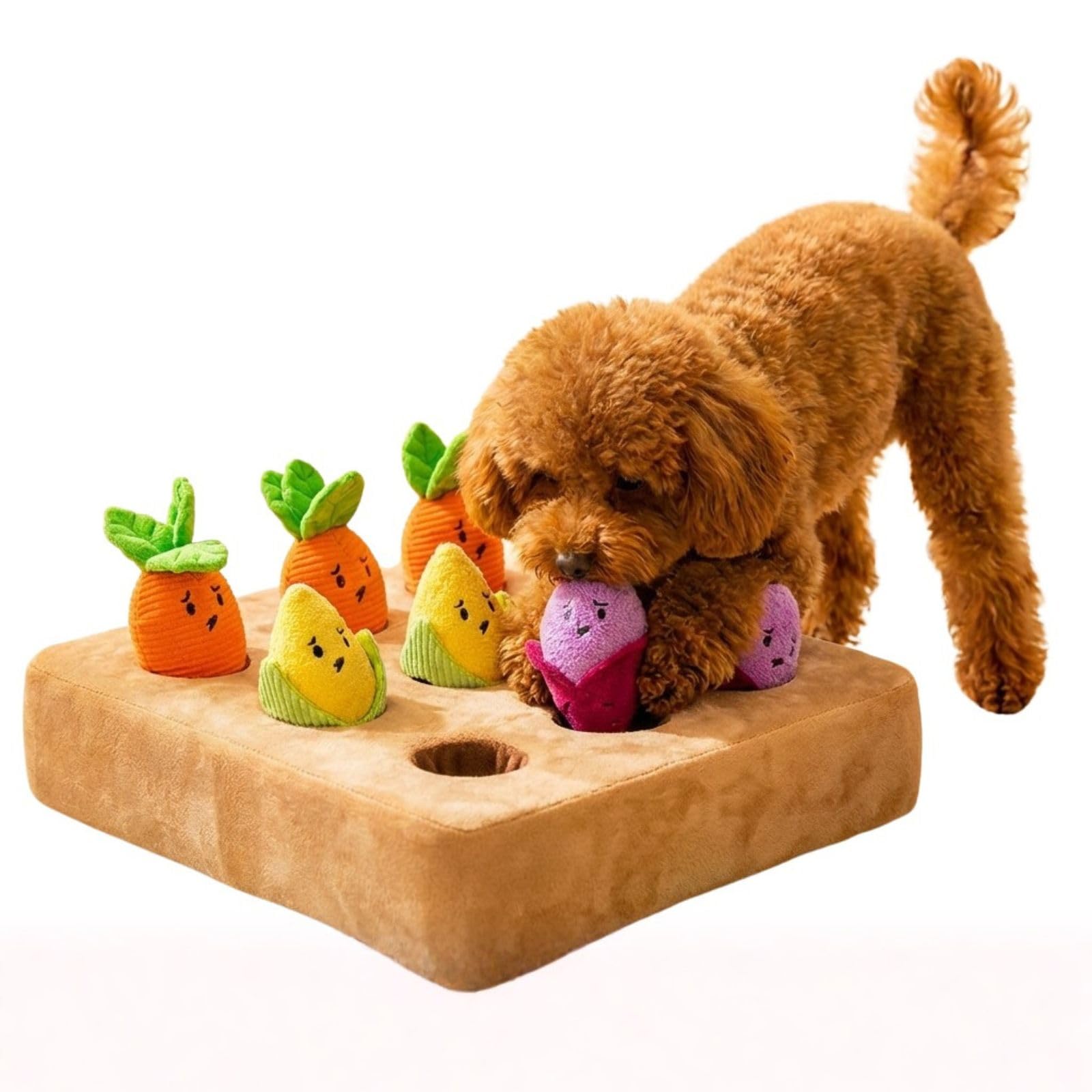 Amazon | [N.Qurio] 知育玩具 犬 おもちゃ ノーズワーク マット 野菜
