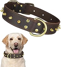 Qianruida Collier pour Chien en Cuir Clouté à Pointes, Anti-Morsure Réglable Individualité Collier, Boucle en Métal Cloutée De Petite, Moyenne Et Grande Race-XL