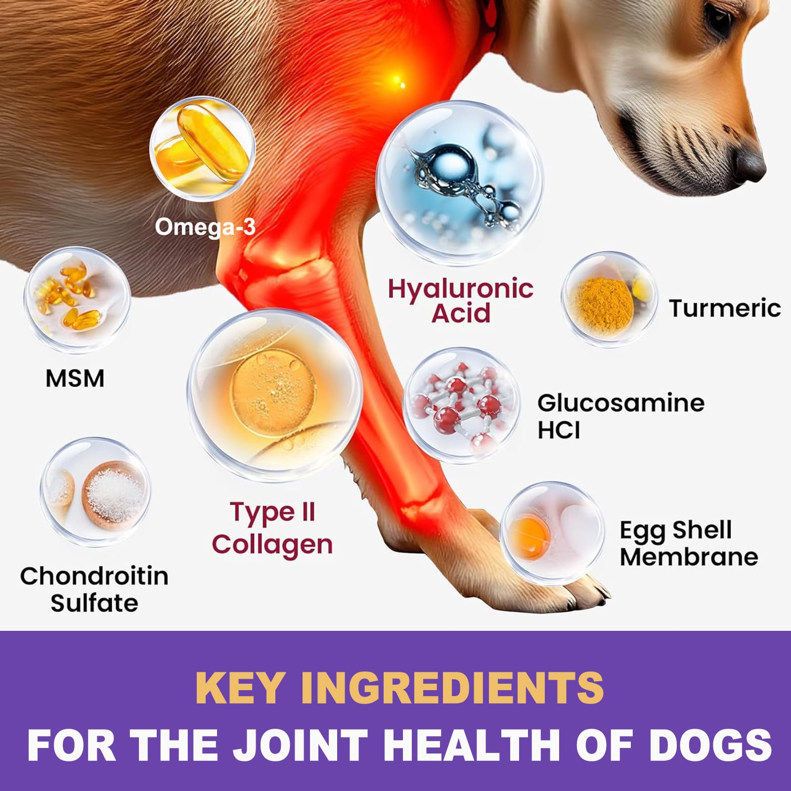 Hip & Joint Chews for Dogs – Glucosamine, MSM, Chondroitin, Turmeric & Omega-3 – Mobility Chews for Dogs with Green Lipped Mussel & Eggshell Membrane – Chicken Flavor – 100 Soft Chews - image 3