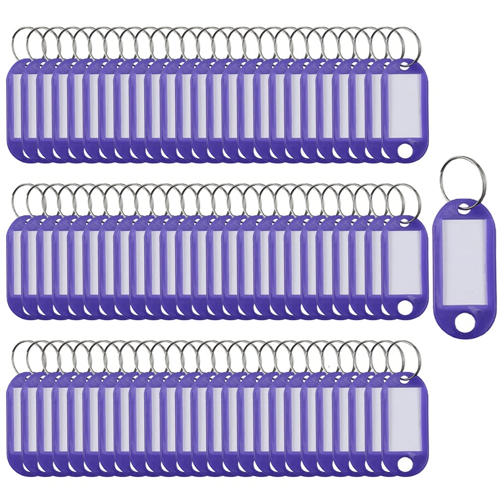 Sagasave Purple Key Tags 100 Pieces Keyring Tags Key Labels Plastic Key Fobs Id Tags Key Rings Name Tags Luggage Id Labels With Labels Split Ring Keyring (Purple)