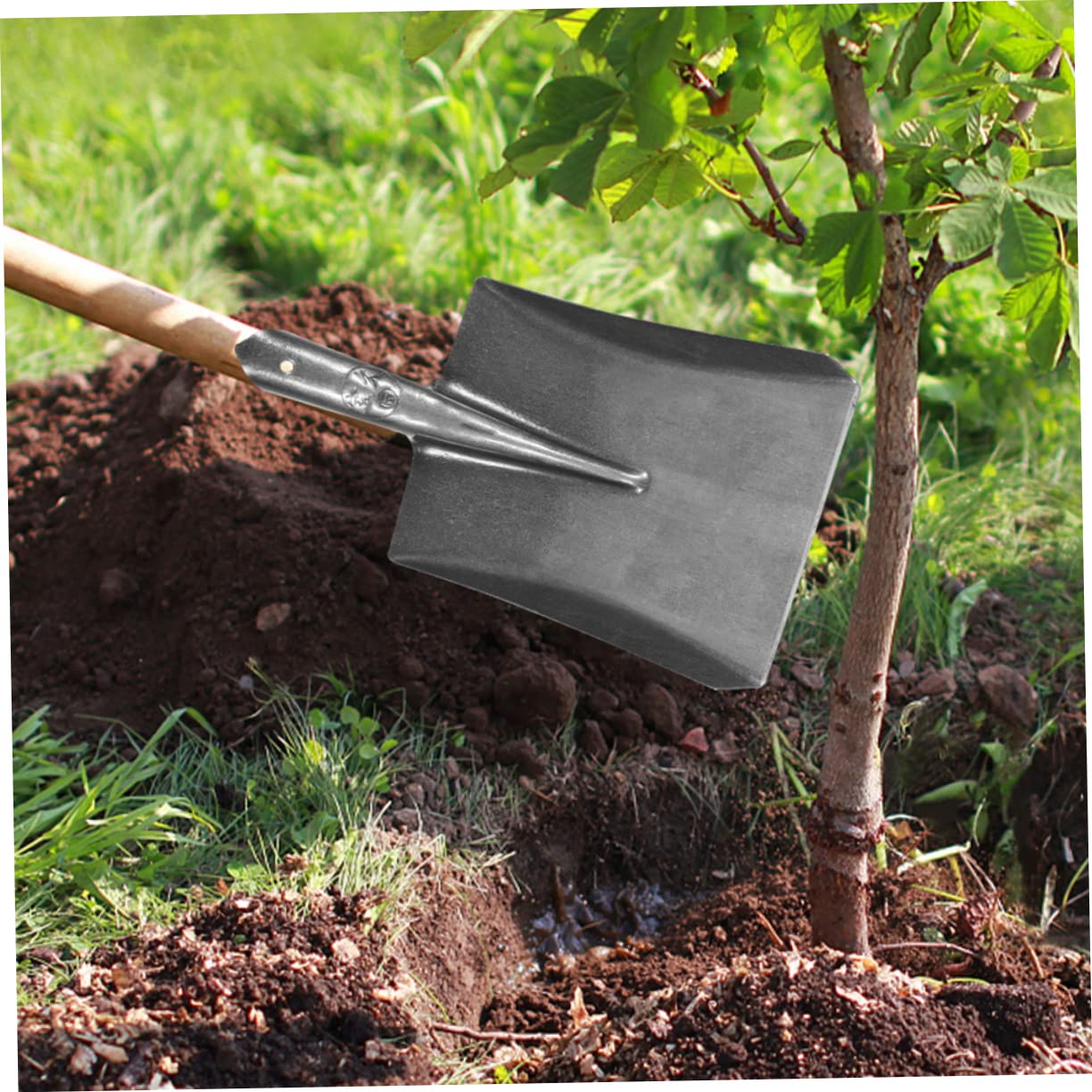 Gartenspaten aus Stahl, Praktische Pflanzschaufel für Zuhause