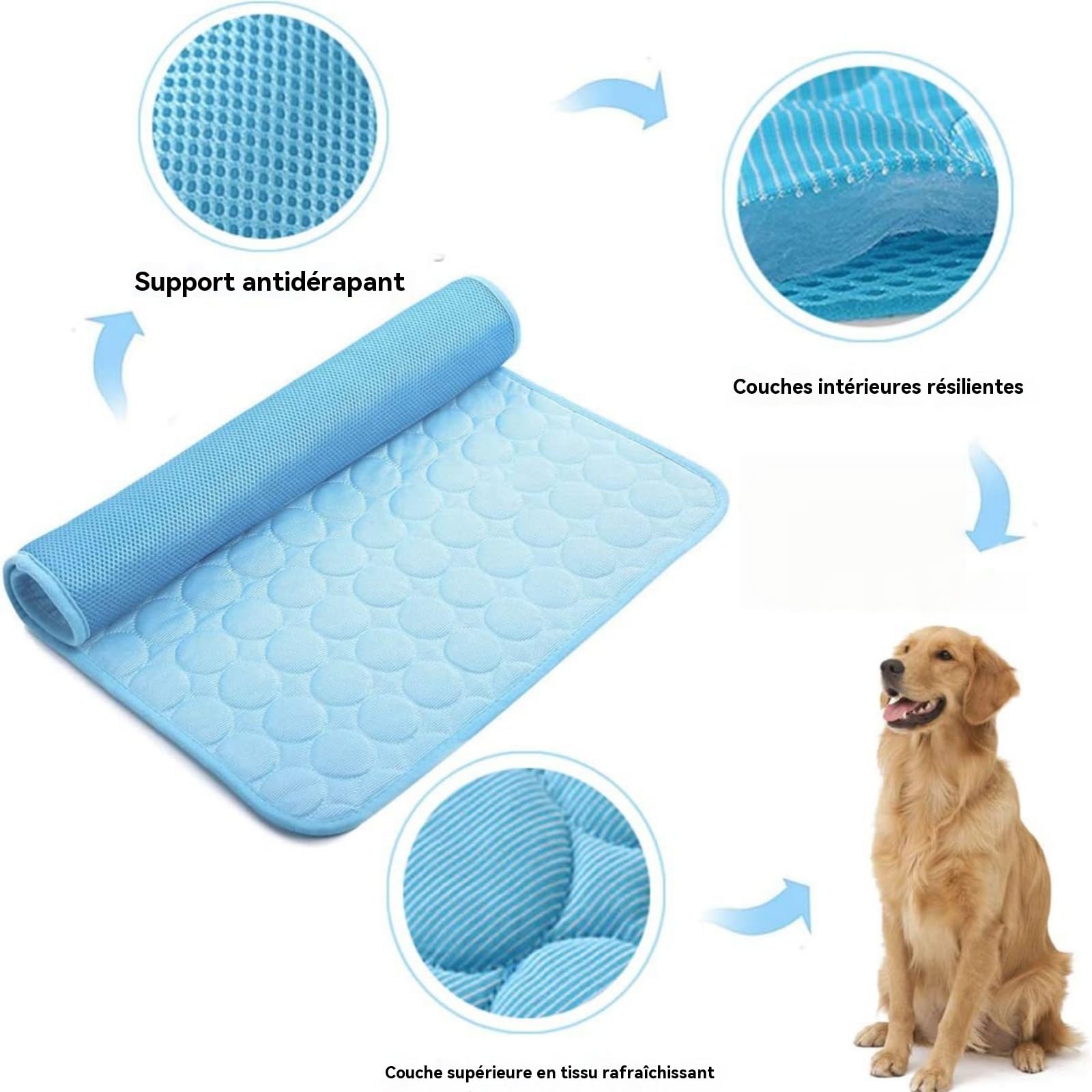 Générique Tapis Rafraichissant pour Chiens Et Chats, Fresh Pad pour Chien, Chat Coussin Chien Anti Chaleur, Matelas Réfrigérant Animaux, Portable, Lavable, Anti-Morsures (Bleu, XXL)