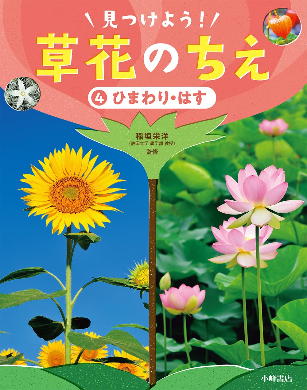 ひまわり・はす (見つけよう!草花のちえ 4) | 稲垣栄洋 |本
