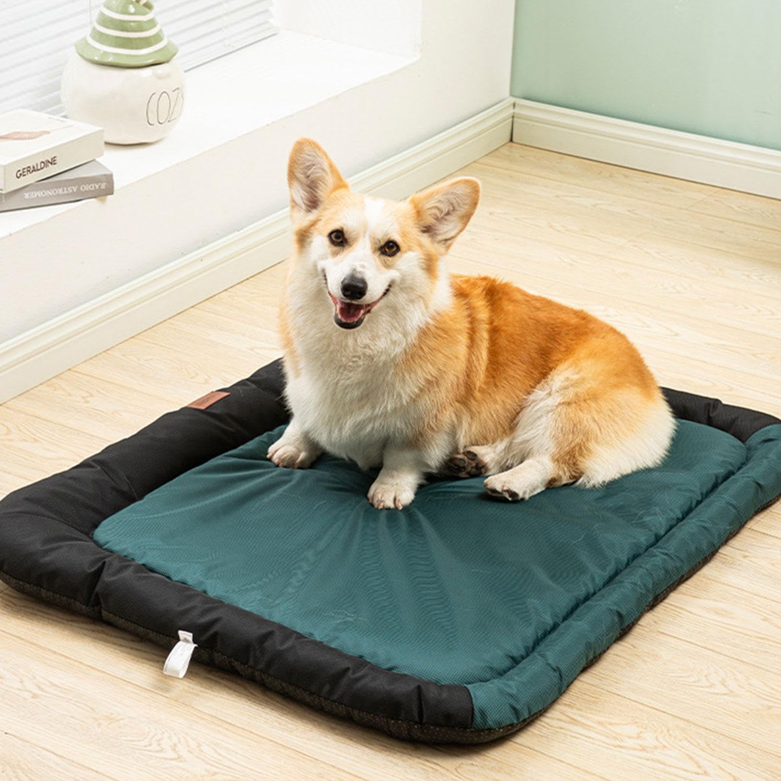 Tapis Pour Cage De Chien Coussin Chenil Chaud Doux Confortable Matelas | Coussin Canin Adapté Aux Chiens Et Chats De Taille Moyenne, Couchage Douillet En Cages Métalliques, Accesso