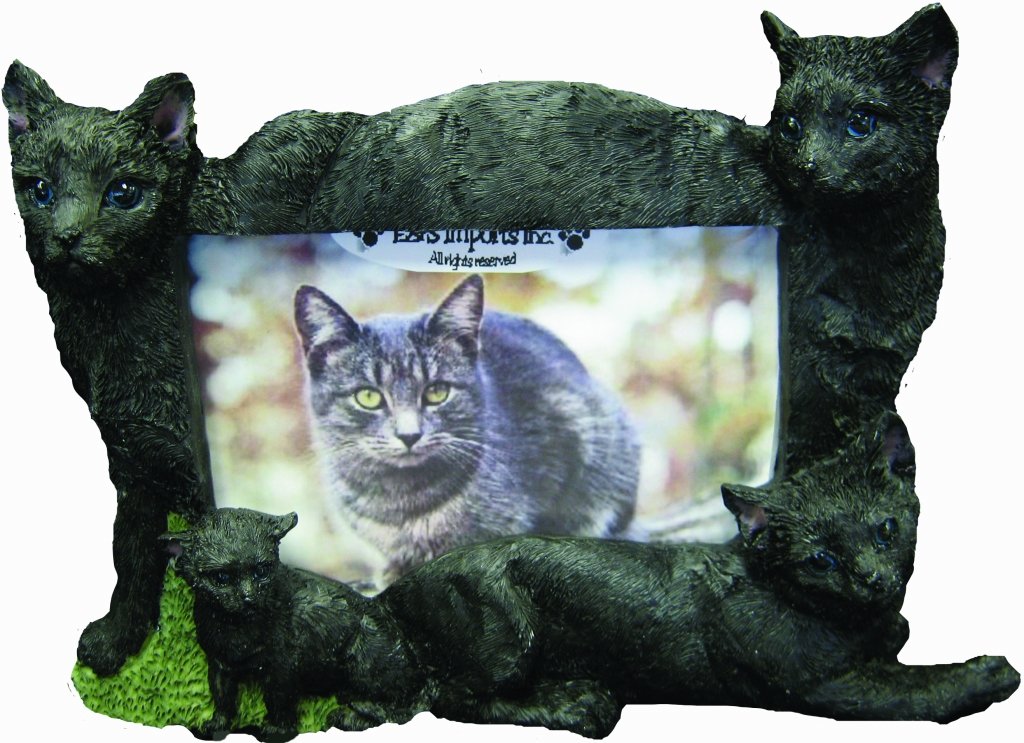 E&S Pets 35297-15 Large Cat Frames
