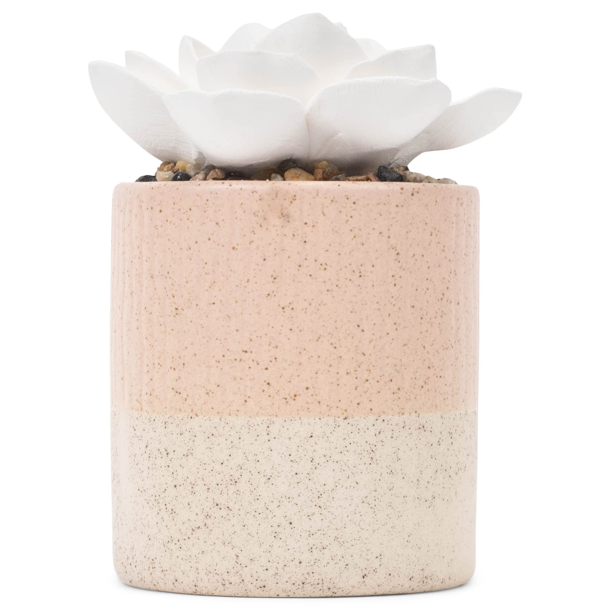 Demdaco Succulent Oil Diffuser - XOXO