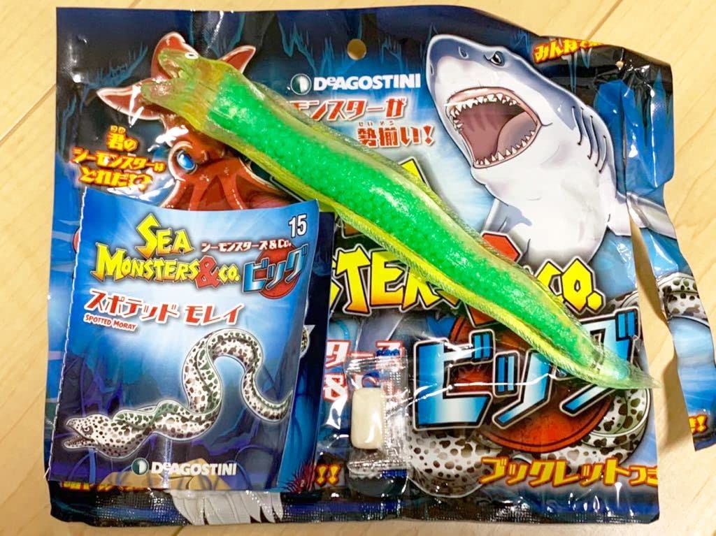 Amazon.co.jp: シーモンスターズ&Co. ビッグ スポテッド モレイ