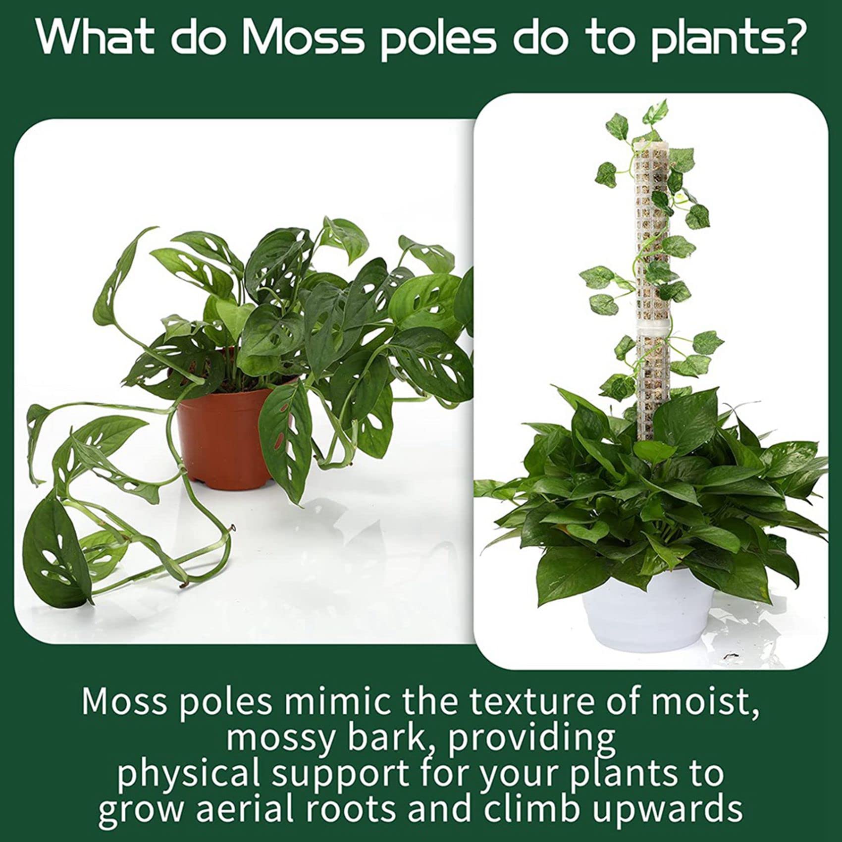 Lot de 24 piquets en fibre de empilables pour plantes Monstera - Support en plastique pour sphaigne