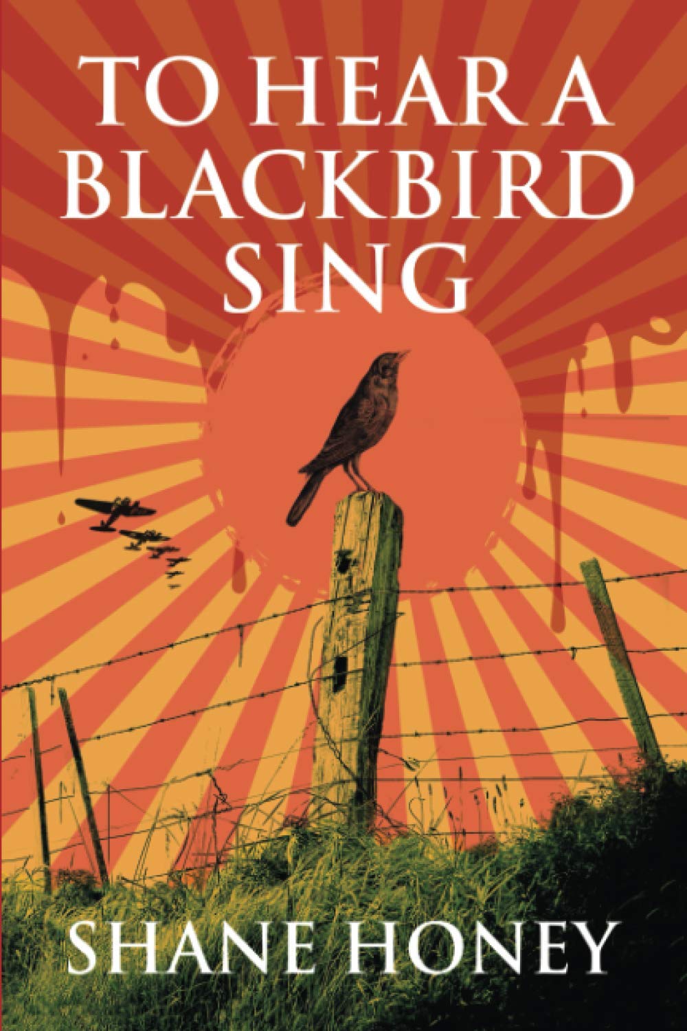 To Hear A Blackbird Sing