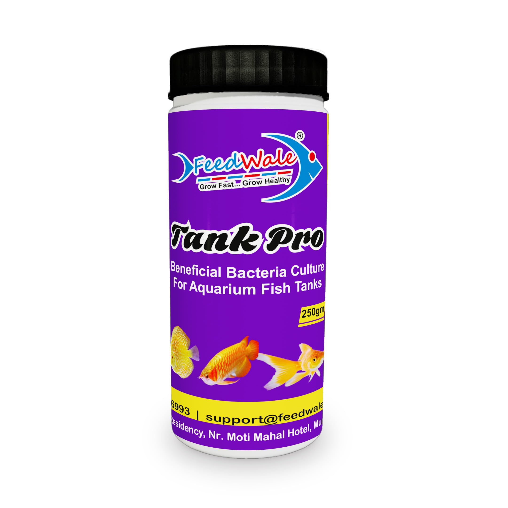See full amazon price history chart for Beneficial Bacteria Culture FeedWale Tank Pro 250gm for Aquarium Fish Tanks Beneficial Bacteria Culture FeedWale Tank Pro 250gm for Aquarium Fish Tanks (B09QM6ZC8P) Amazon Price History, Amazon Price Tracker