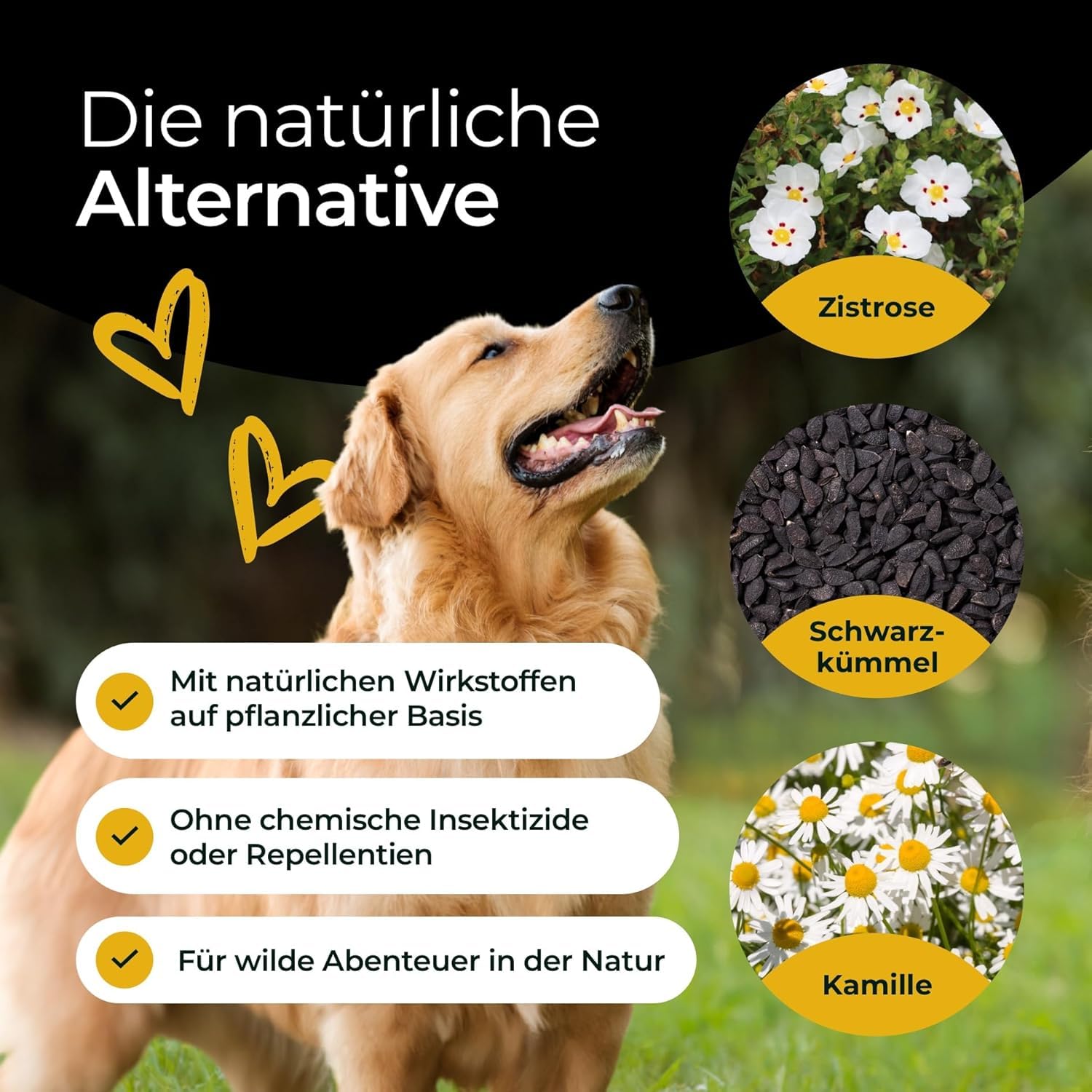 Z-Protect 300 g - Pellets für Hunde - Sorgenfreie Abenteuer in der Natur - Mit Schwarzkümmelöl & Zistrose - Natürliche Formel - Made in Germany