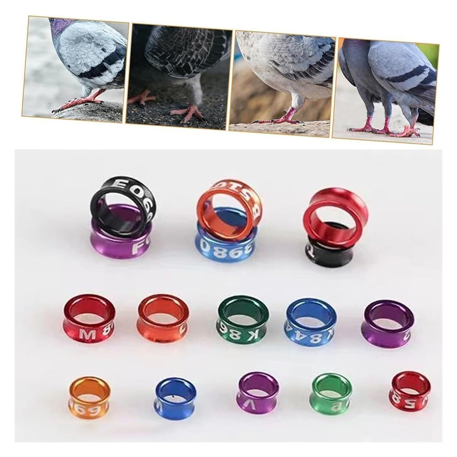 pájaro con las piernas cerradas, Patas abiertas de aluminio for identificación patas pájaros, diámetro Multicolor 4-8mm, 50-200 Uds(Mixed Colors8.0mm,200pc)