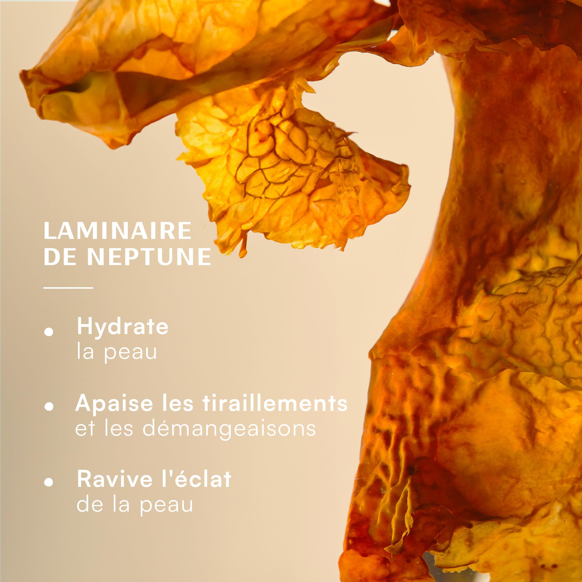 Laboratoires de Biarritz - Huile Démaquillante Visage, Yeux, Lèvres - Démaquille, Hydrate et Apaise - Efficace sur Maquillage Waterproof - Certifiée Bio - Formule Vegan - Fabriquée en France - 200 ml