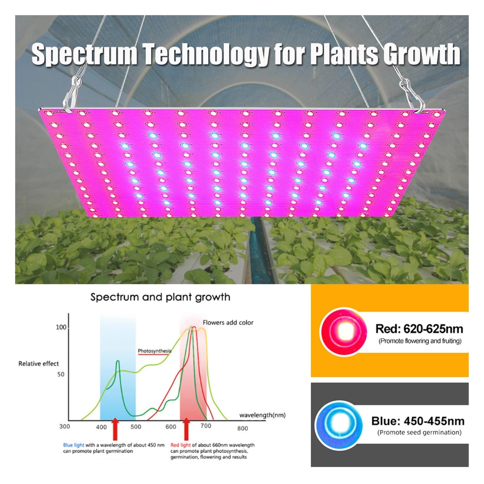 Grow Light, LED Pianta Coltiva La Luce 1000W/2000W Spettro Completo Lampada Coltivazione Idroponica Piante Phyto Veg Fiore Pannello Ultrasottile for Interni(Big Size)