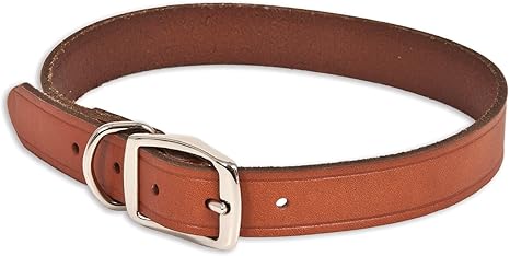 20 dog collar Clearance