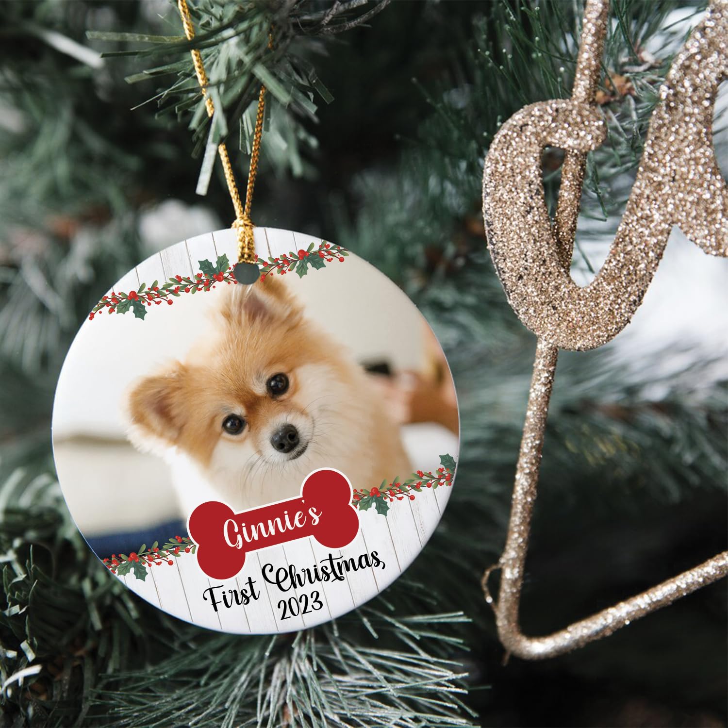 Dog First Christmas Ornament 2025 Personalized Pet Ornament, Acrylic ...