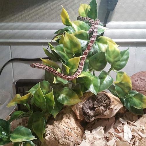 Miniatura 4 de Planta de agua artificial Hoja de vid tanque de peces reptil acuario paisaje 4 #