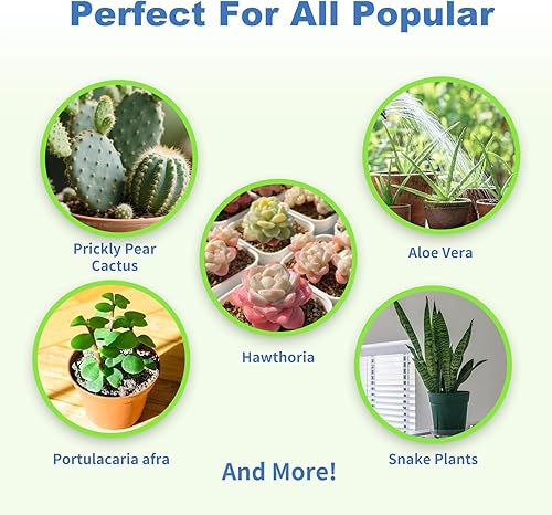 Miniatura 4 de Omitgter - Mezcla de tierra para suculentas y cactus, 10 cuartos de galón de alta calidad, transpirable y de drenaje rápido para plantas saludables