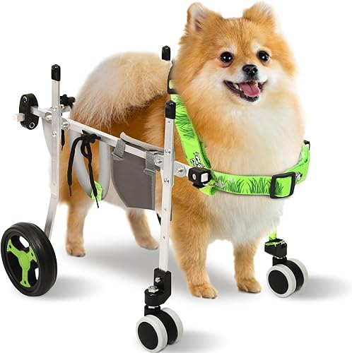 4-Wheel Dog Whee/lchair for Back Legs, Helps Pets Walk Run and Play Again, Suitable for Small/Medium Pets Under 13 lbs 4-Wheel Dog Whee/lchair for Back Legs, Helps Pets Walk Run and Play Again, Suitable for Small/Medium Pets Under 13 lbs